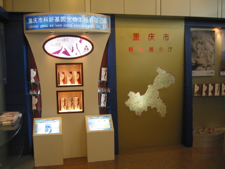 1616658518450422.jpg 502e8a894593b2ed184b2.jpg