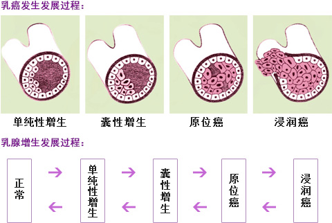 1622272026293539.png 5a57b0c9543549939976ab097175d9d4_th.png